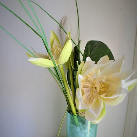 Nocleg ze śniadaniem Cappuccini 3*